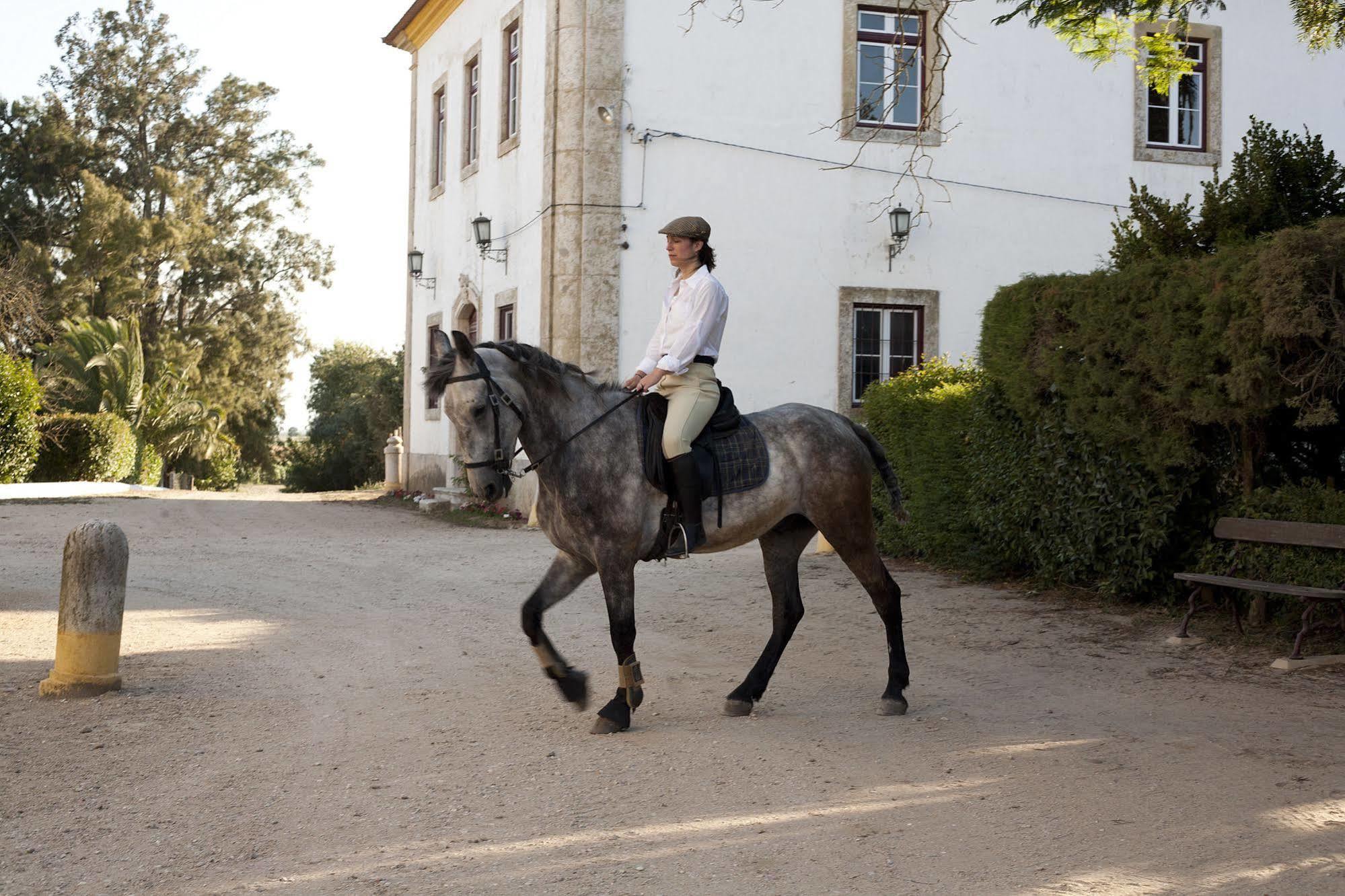Quinta Dos Alamos Agroturismo Голеган Экстерьер фото